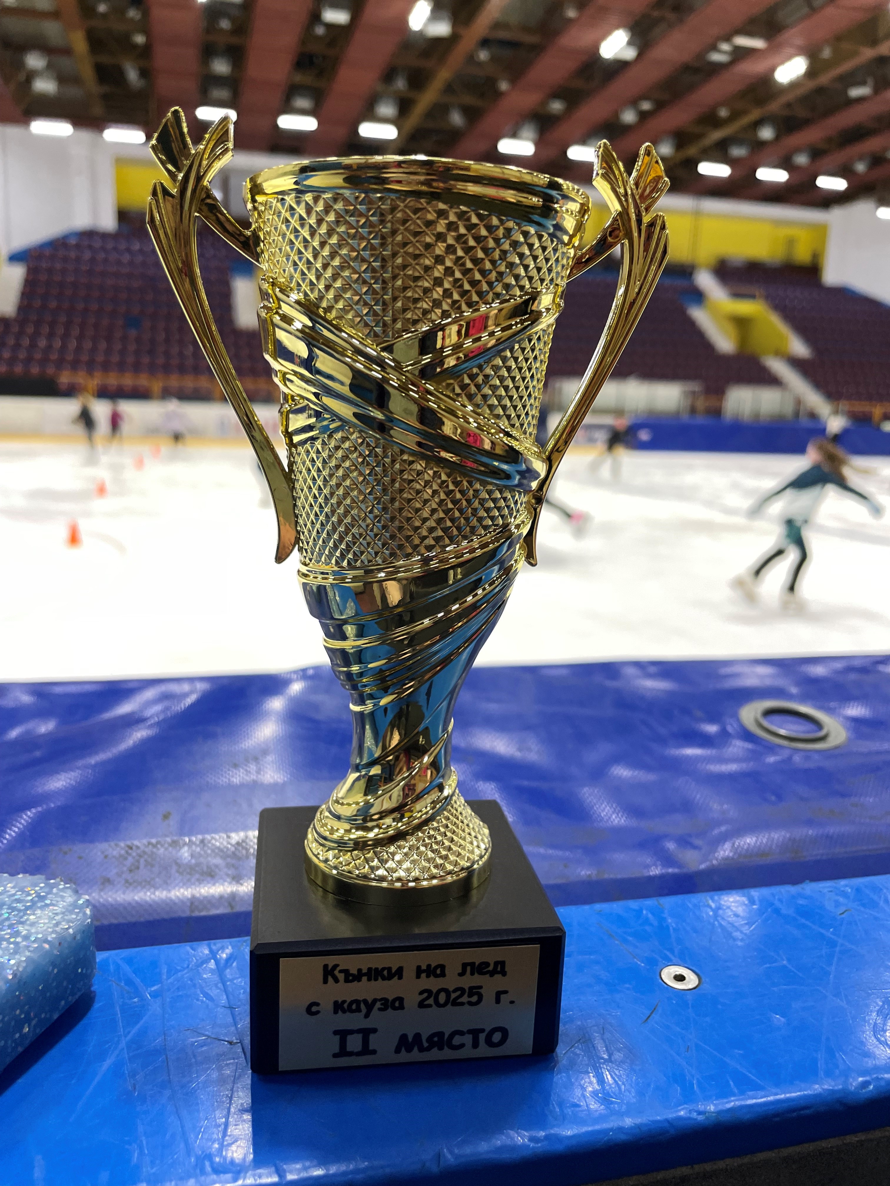 Ice_Skating_wit_a_Cause_3